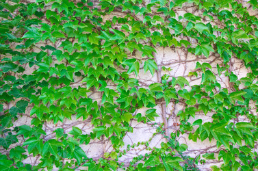 Similar image 1418533