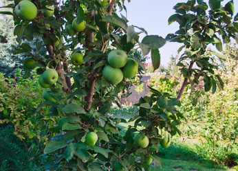 Similar image 1418541