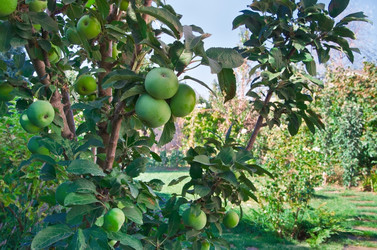 Similar image 1418547