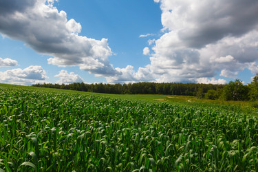 Similar image 1418548