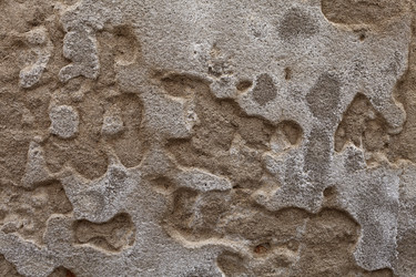 Similar image 1418625