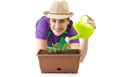 Similar image 1418754