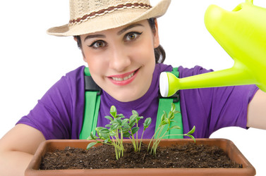 Similar image 1418761