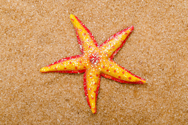 Similar image 1418767