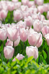 Similar image 1418788