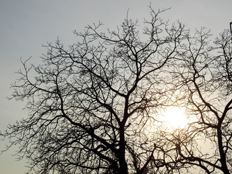 Similar image 1418861