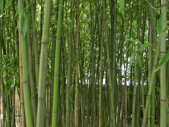 Similar image 1418889