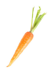 Similar image 1419090