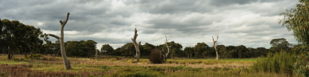 Similar image 1419178