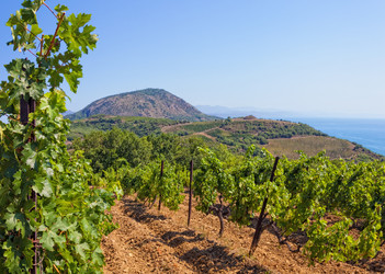 Similar image 1419183