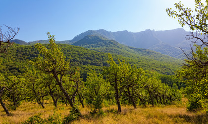 Similar image 1419184