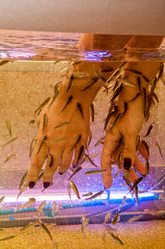 Similar image 1419273