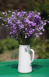 Similar image 1419432