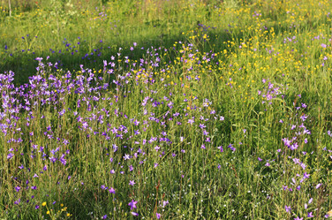 Similar image 1419452