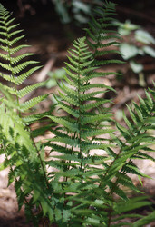 Similar image 1419483