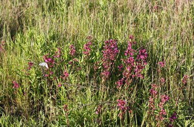 Similar image 1419484