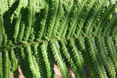 Similar image 1419487