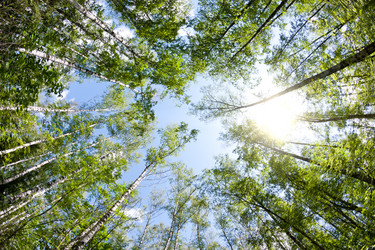 Similar image 1419592