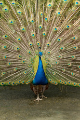 Similar image 1419598