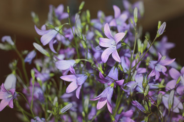 Similar image 1419611