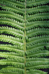 Similar image 1419612