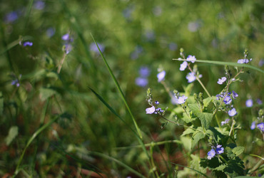 Similar image 1419613