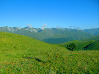 Similar image 1419618