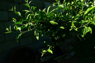 Similar image 1419620