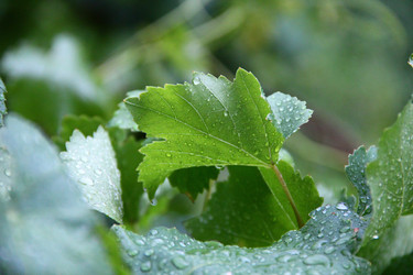 Similar image 1419625