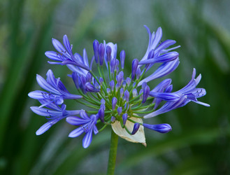 Similar image 1419652