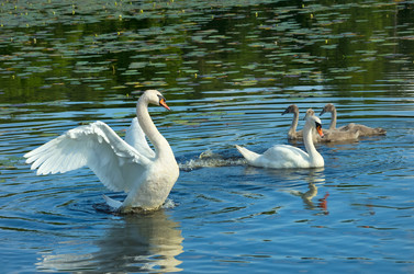 Similar image 1419812