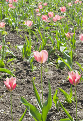 Similar image 1419813