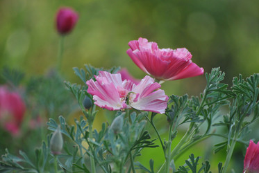 Similar image 1419824