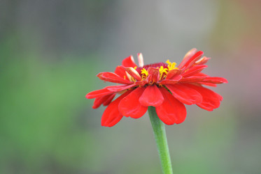 Similar image 1419825