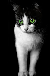 Similar image 1419837