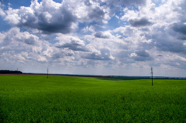 Similar image 1419841