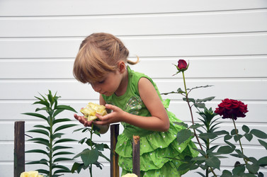 Similar image 1419843