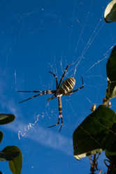 Similar image 1419861