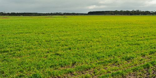 Similar image 1419864