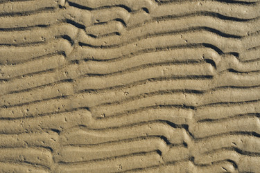 Similar image 1419867