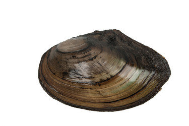 Similar image 1419872