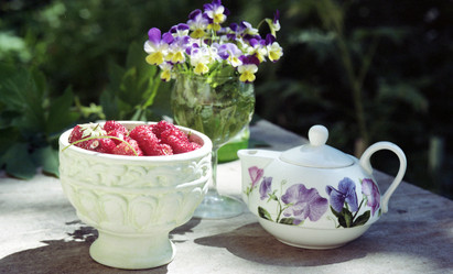 Similar image 1419930