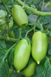 Similar image 1419931