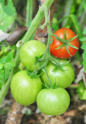 Similar image 1419933