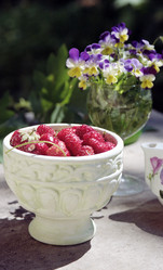 Similar image 1419936