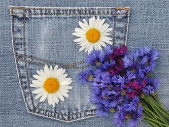 Similar image 1419937