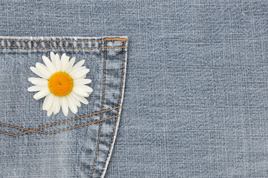 Similar image 1419941