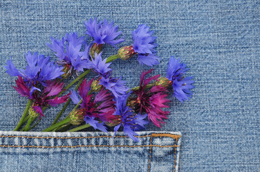 Similar image 1419942