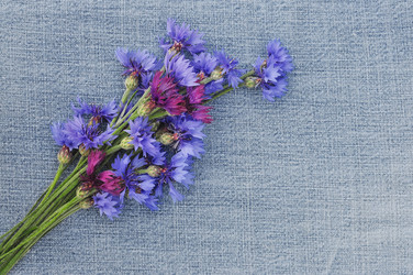 Similar image 1419943