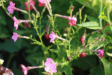 Similar image 1419949